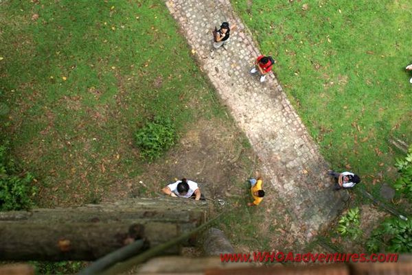 Skytrex Adventure Taman Botani Negara Shah Alam Whoa